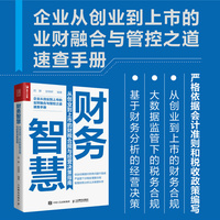 财务智慧——从创业到上市的财税合规与经营决策指南