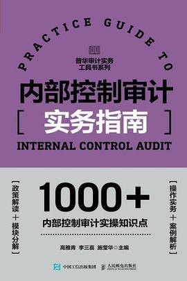 内部控制审计实务指南