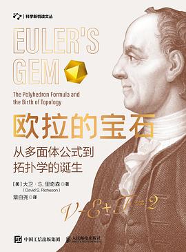 欧拉的宝石——从多面体公式到拓扑学的诞生: