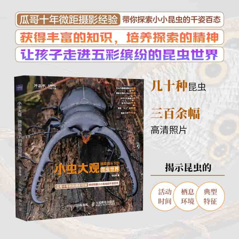 小虫大观——微距镜头下的昆虫世界