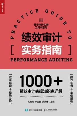 绩效审计实务指南