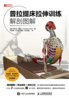 普拉提床拉伸训练解剖图解