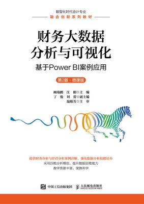 财务大数据分析与可视化——基于Power BI案例应用——微课版
