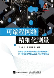 可编程网络精细化测量