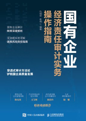 国有企业经济责任审计实务操作指南