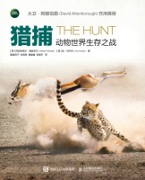 猎捕——动物世界生存之战