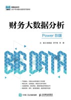 财务大数据分析——Power BI版