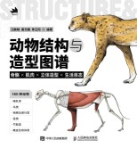 动物结构与造型图谱——骨骼×肌肉×立体造型×生活百态