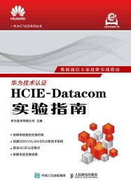 HCIEDatacom实验指南