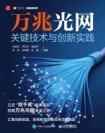 万兆光网关键技术与创新实践