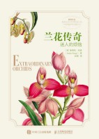 兰花传奇——迷人的烦恼