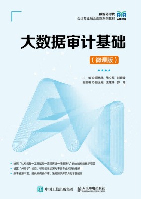 大数据审计基础——微课版