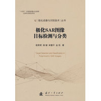 极化SAR图像目标检测与分类