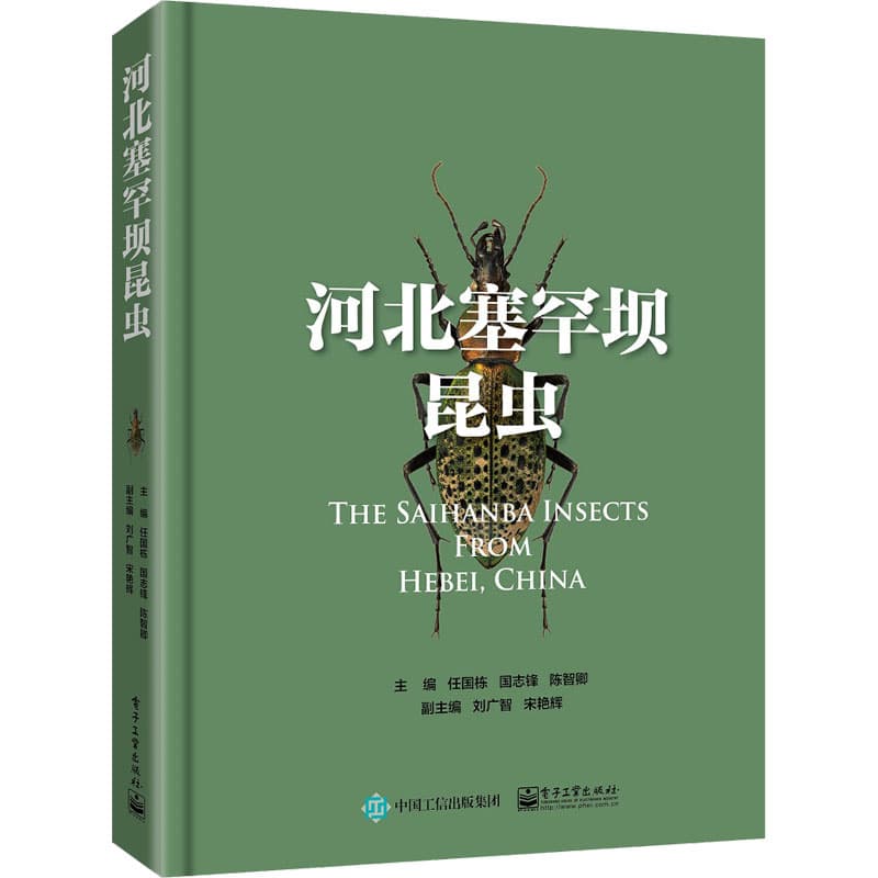 河北塞罕坝昆虫