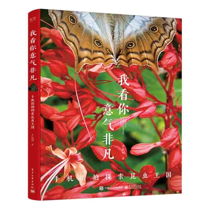 我看你意气非凡——手机街拍探索昆虫王国