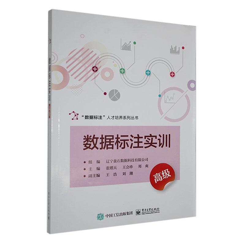 数据标注实训高级
