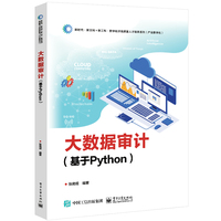 大数据审计——基于Python