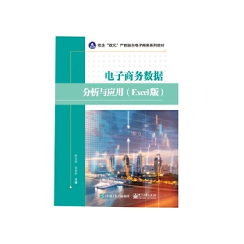 电子商务数据分析与应用——Excel版