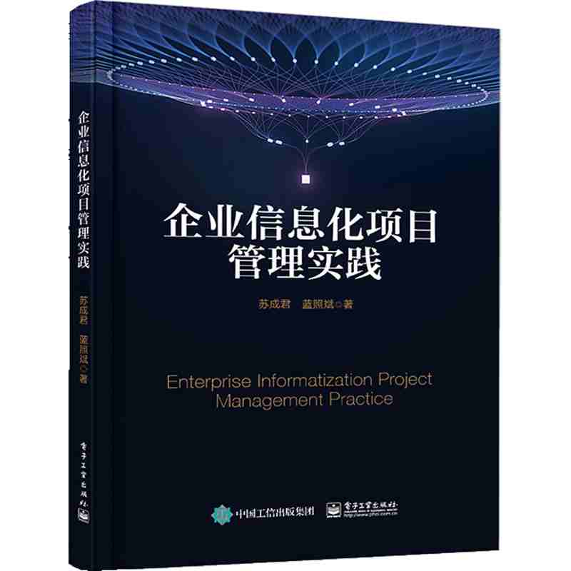 企业信息化项目管理实践
