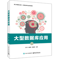 大型数据库应用