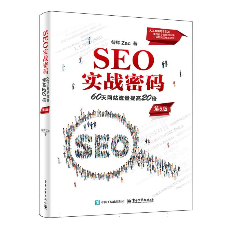 SEO实战密码：60天网站流量提高20倍
