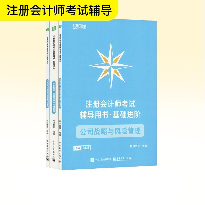 注册会计师考试辅导用书·基础进阶公司战略与风险管理