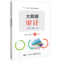 大数据审计