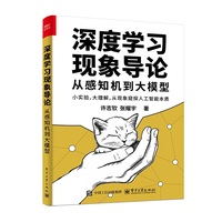 深度学习现象导论——从感知机到大模型