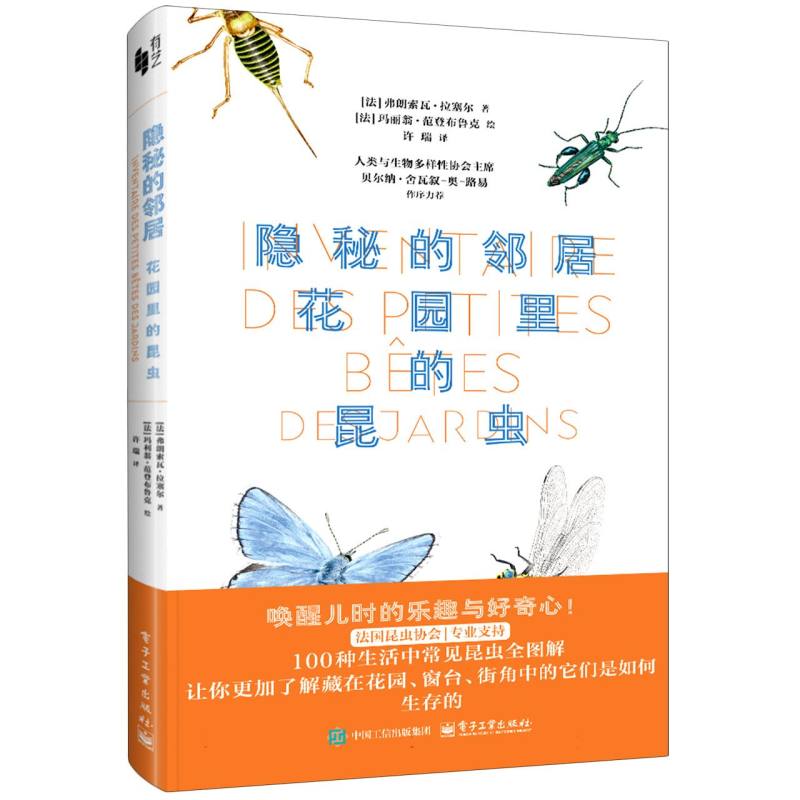 隐秘的邻居：花园里的昆虫