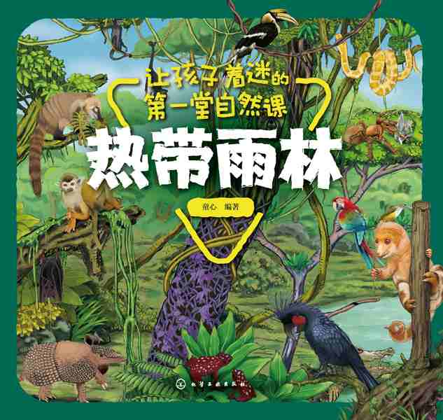 热带雨林