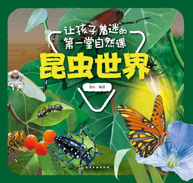 昆虫世界