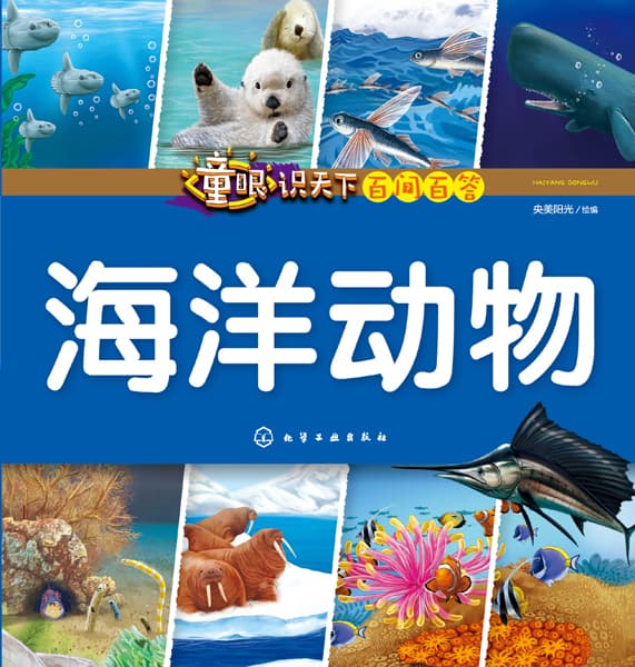 海洋动物