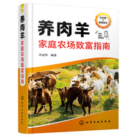 养肉羊家庭农场致富指南