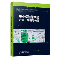 电化学储能中的计算、建模与仿真