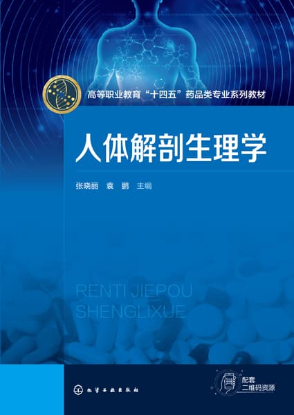 人体解剖生理学