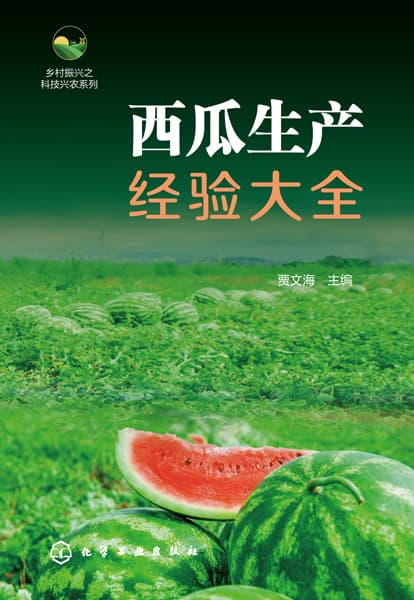 西瓜生产经验大全
