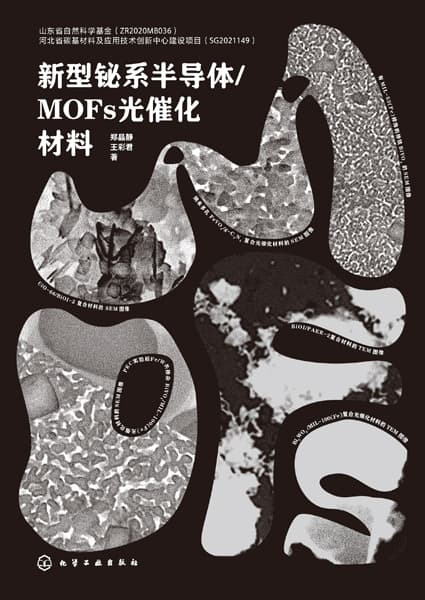 新型铋系半导体/MOFs光催化材料