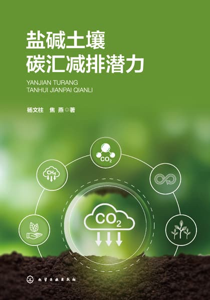 盐碱土壤碳汇减排潜力
