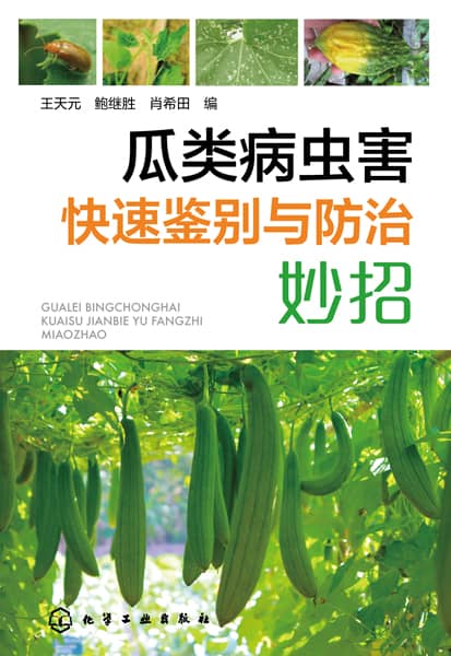 瓜类病虫害快速鉴别与防治妙招