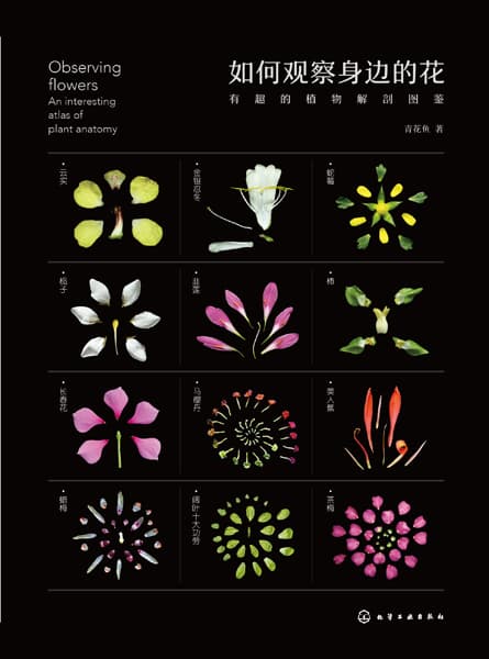 如何观察身边的花——有趣的植物解剖图鉴——an interesting atlas of plant anatomy