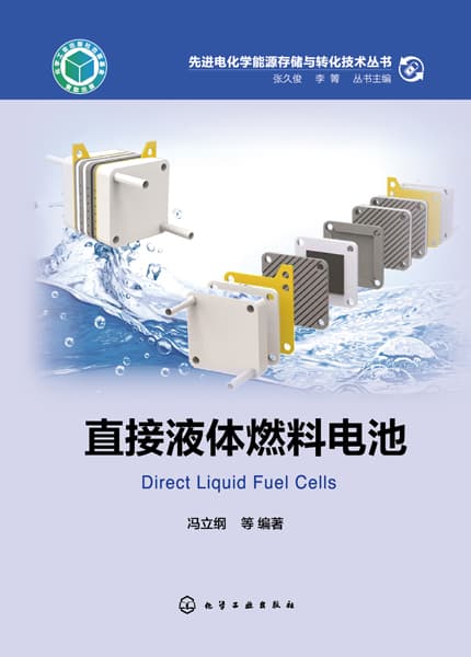 直接液体燃料电池