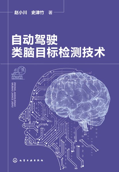 自动驾驶类脑目标检测技术