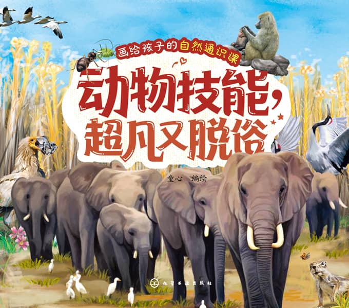 动物技能，超凡又脱俗
