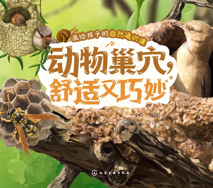 动物巢穴，舒适又巧妙