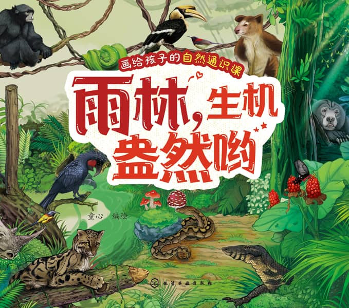 雨林，生机盎然哟