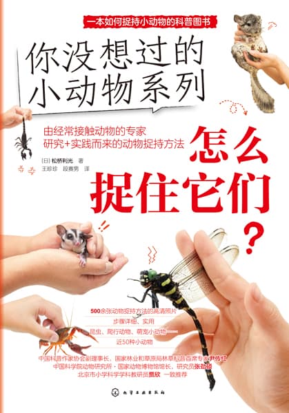 怎么捉住它们？