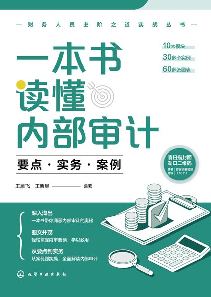 一本书读懂内部审计——要点·实务·案例