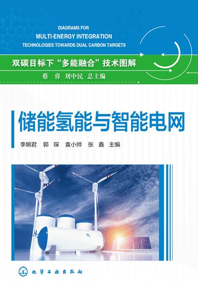 储能氢能与智能电网