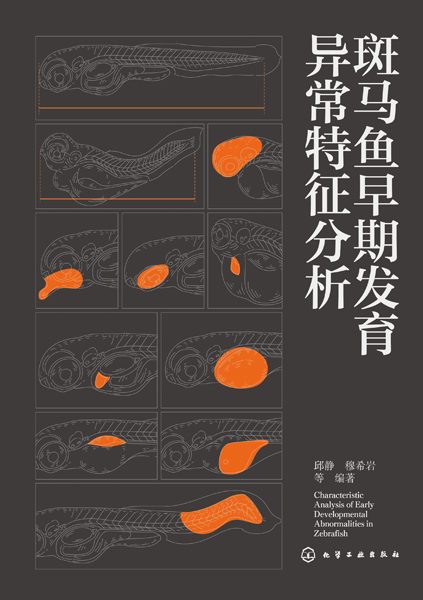 斑马鱼早期发育异常特征分析