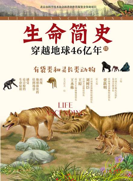 生命简史——穿越地球46亿年(11):有袋类和灵长类动物